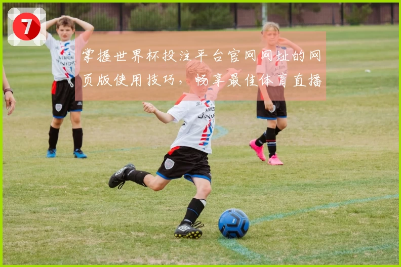 掌握世界杯投注平台官网网址的网页版使用技巧，畅享最佳体育直播体验