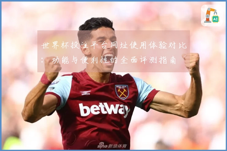 世界杯投注平台网址使用体验对比：功能与便利性的全面评测指南