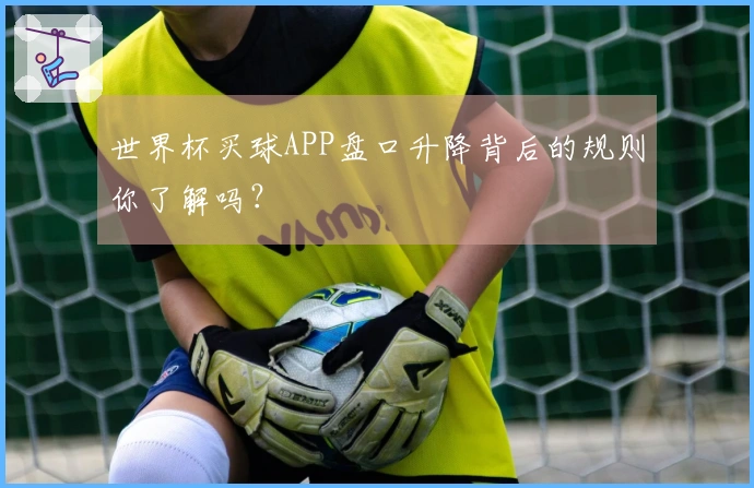 世界杯买球APP盘口升降背后的规则你了解吗？