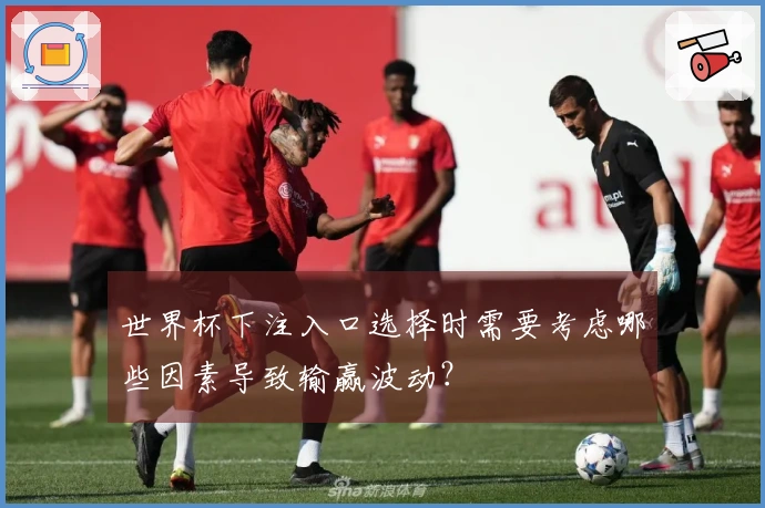 世界杯下注入口选择时需要考虑哪些因素导致输赢波动？