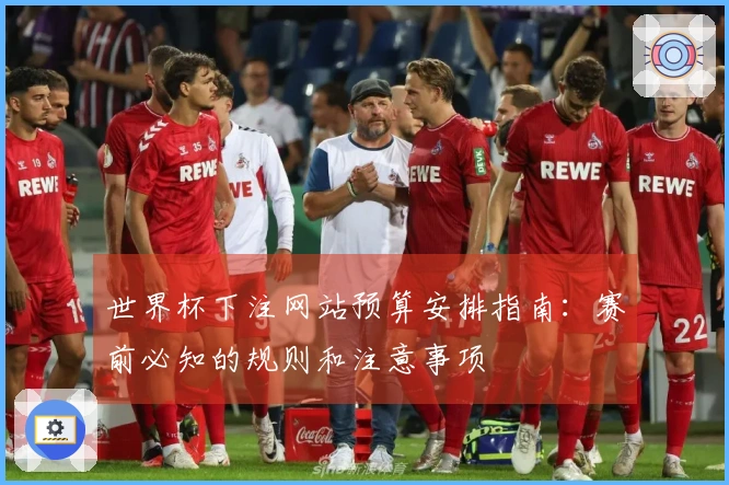 世界杯下注网站预算安排指南：赛前必知的规则和注意事项
