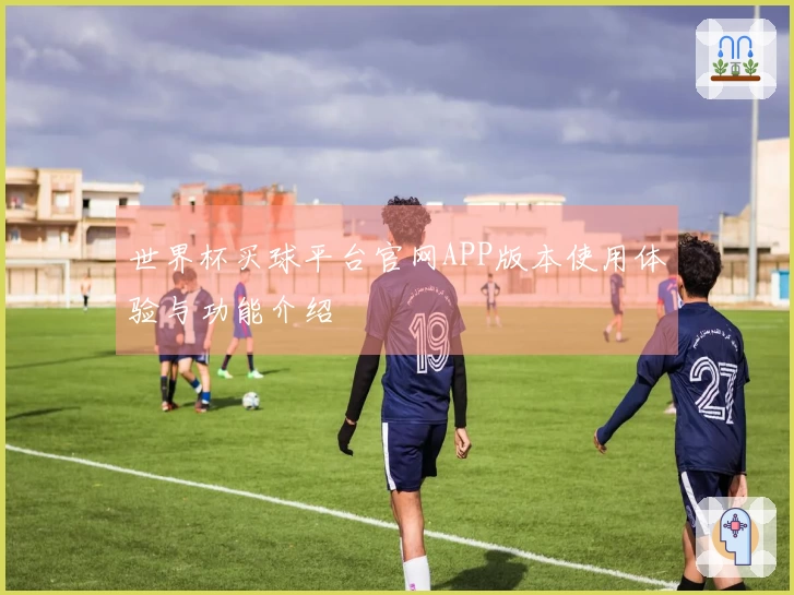 世界杯买球平台官网APP版本使用体验与功能介绍