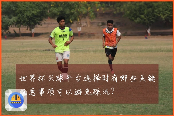 世界杯买球平台选择时有哪些关键注意事项可以避免踩坑？