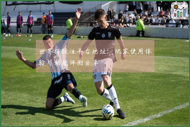 世界杯投注平台地址：玩家使用体验与功能评测分享