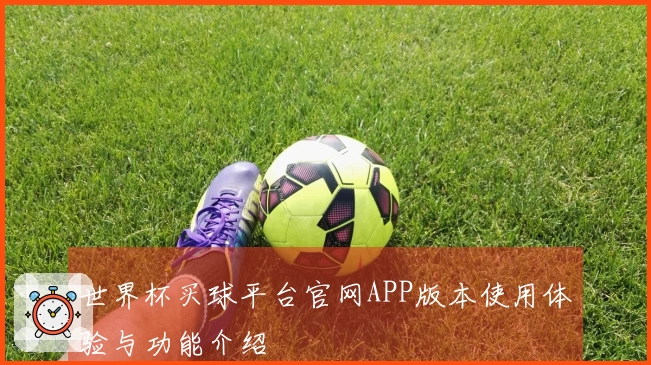 世界杯买球平台官网APP版本使用体验与功能介绍